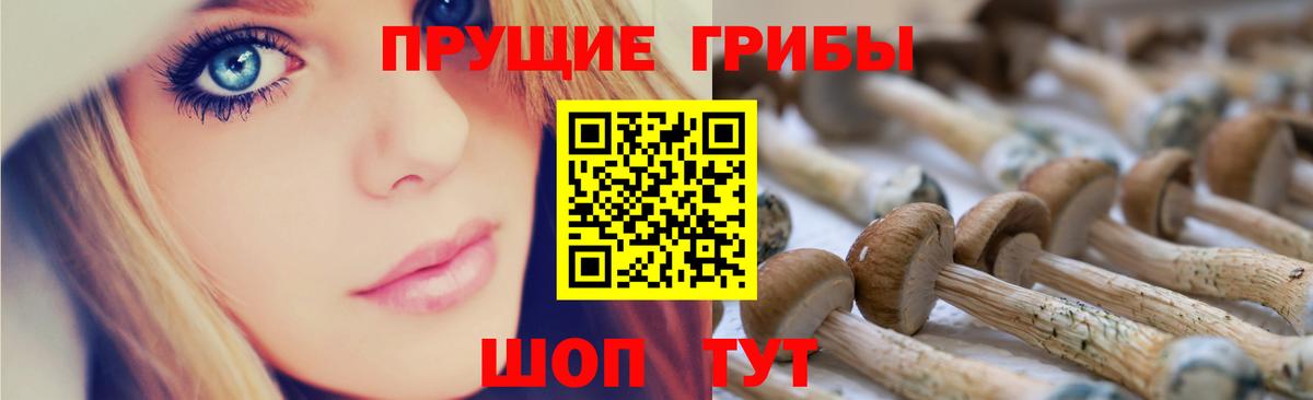 Галлюциногенные грибы мухоморы  Галлюциногенные грибы ЛСД  закладка  Дедовск  Вход с VPN 